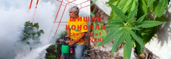 прущие грибы Абдулино