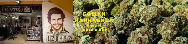 амф Алзамай