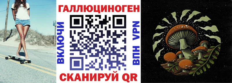 Галлюциногенные грибы Cubensis Щучье